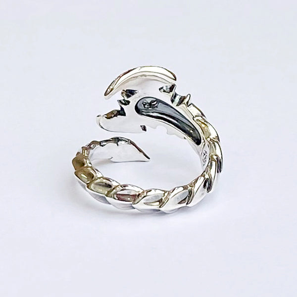 Bizarre [Hot Selling Product] Apollyon Silver Ring SRJ087